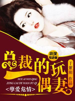 总裁的玩具精彩章节